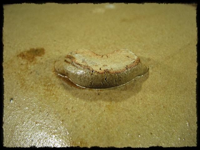 益子焼 杉本浩太郎 色絵 兎紋 角皿 茶道具  d139