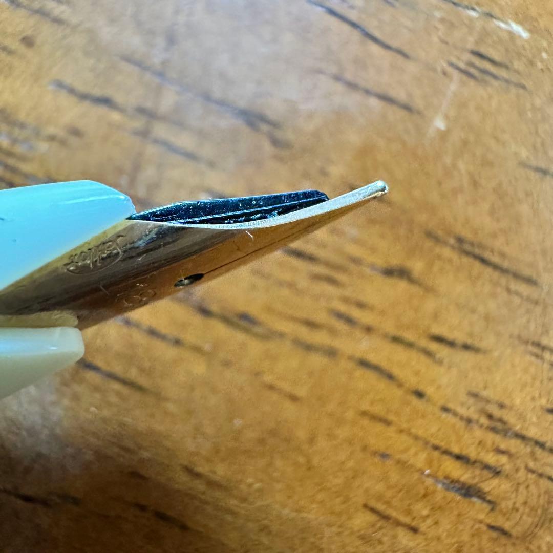 sailor セーラー　万年筆　オーストリッチ　茶　ペン先　18k ①