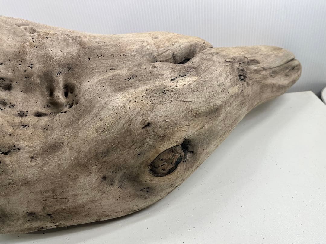 W29特大流木 アク抜き済み流木 爬虫類シェルター 登り木 インテリア 生け花