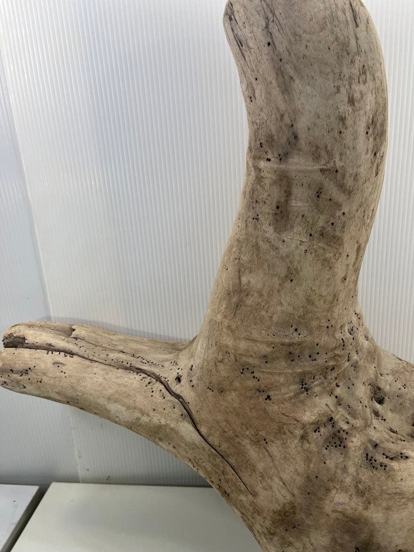 W29特大流木 アク抜き済み流木 爬虫類シェルター 登り木 インテリア 生け花