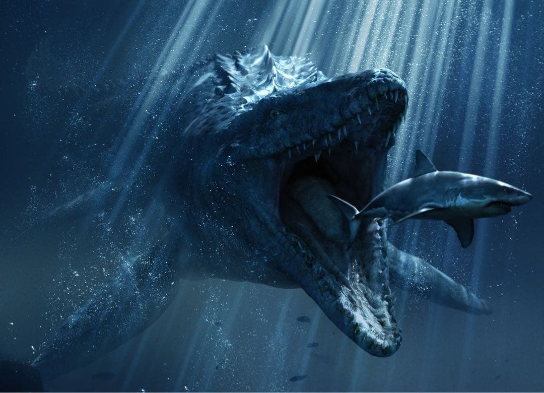 スピノサウルス・モササウルスの歯の化石（本物）