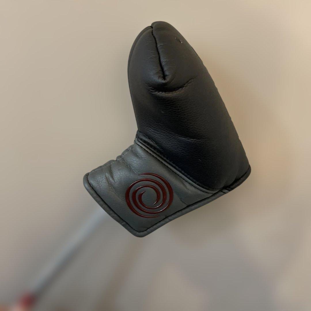 専用✴︎オデッセイトライホット 5K ダブル ワイド34インチ　リバーステーパー