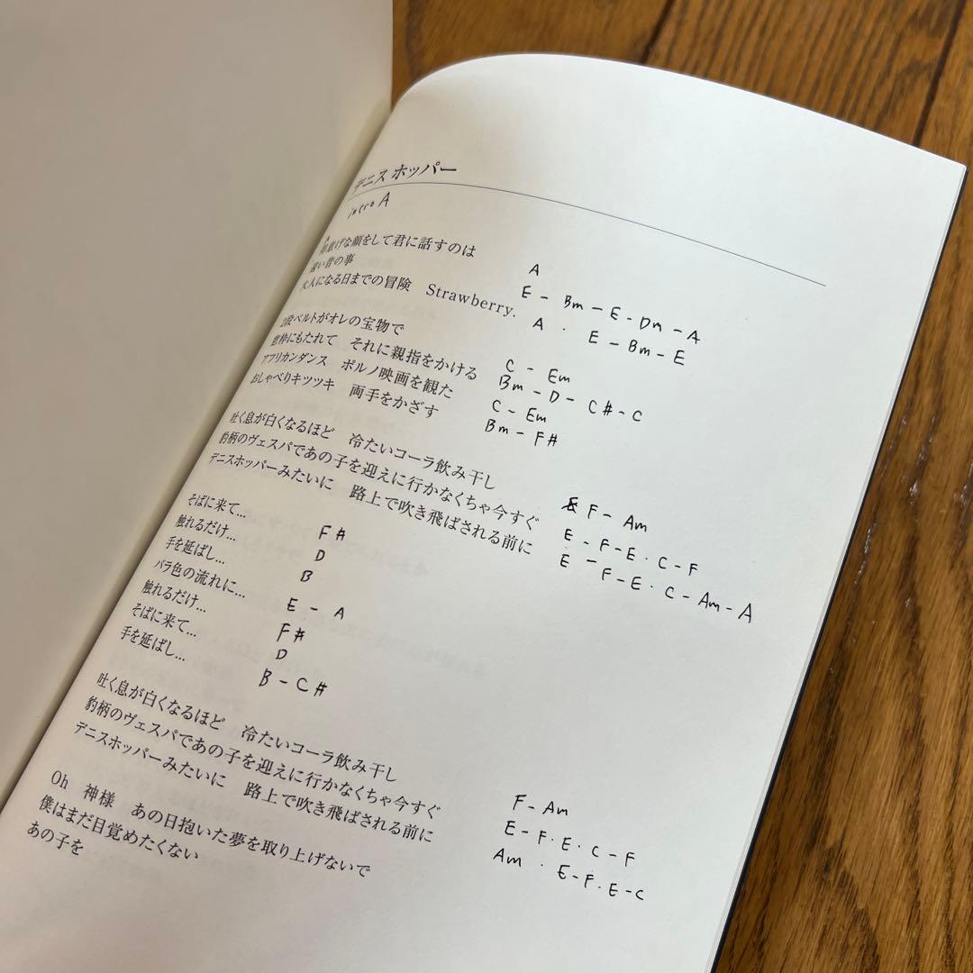 BLANKEY JET CITY : DVDセット ＋　本セット