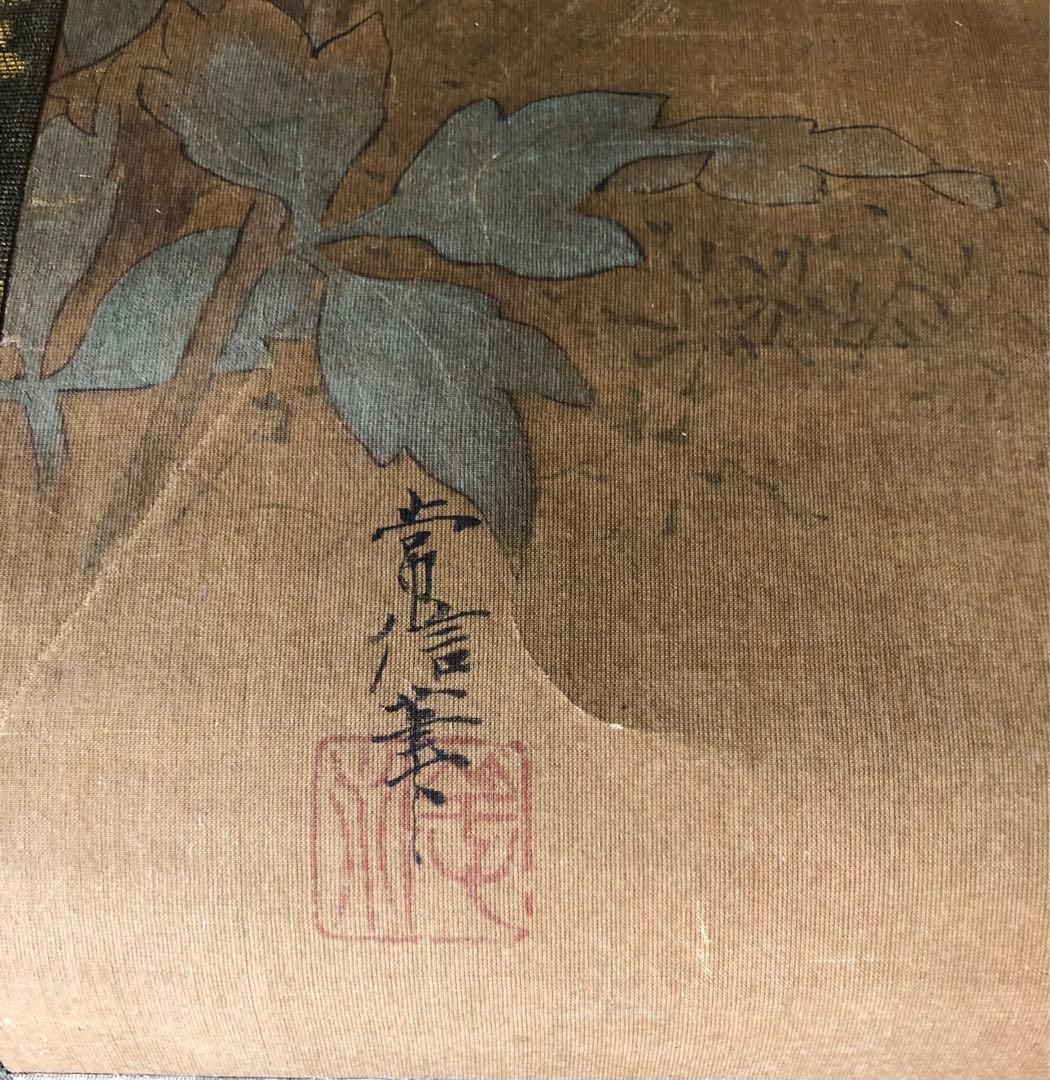 掛け軸　狩野常信 猫圖