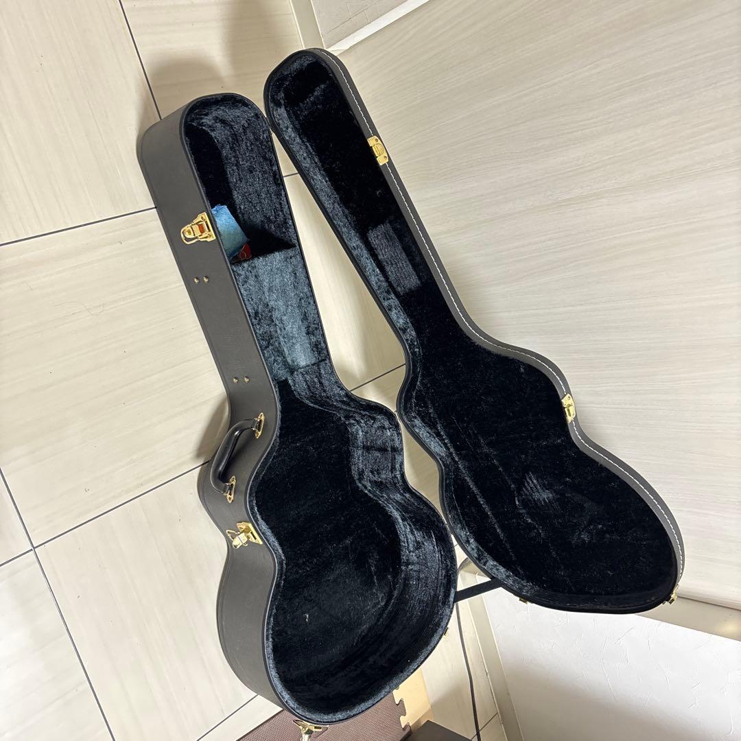 専用　Landscape ar1 ハードケース付き　フルアコ