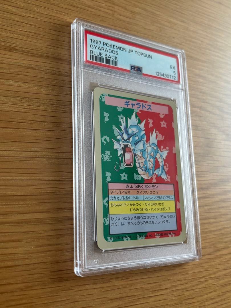 PSAトップサン　ギャラドス　番号なし　エラーカード　希少　ポケモンカード　裏青