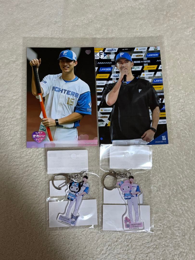 北海道日本ハムファイターズ 達孝太