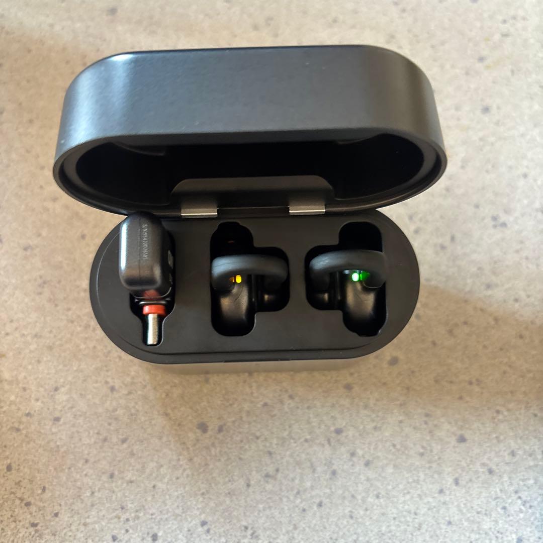 HOLLYLAND ワイヤレスイヤフォン ブラック