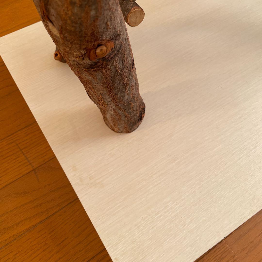 鳥さん用のアスレチックジム