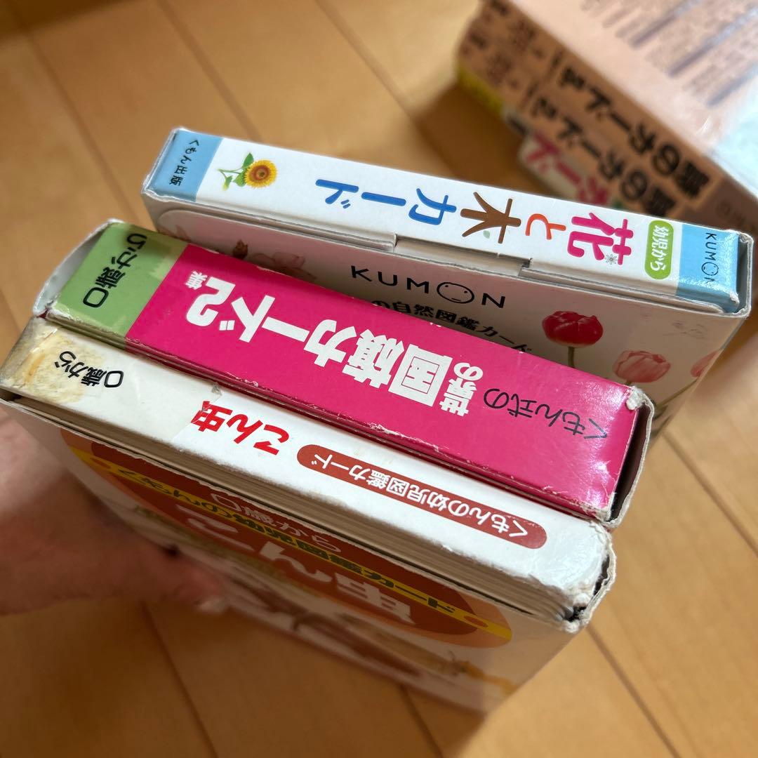 くもん式 知育カードセット　幼児　漢字・詩・四字熟語・国旗・昆虫・花・木