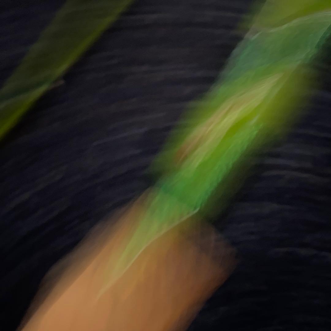 J*P様 Abu Garcia アブガルシア ナマズハンター NAHC-682M