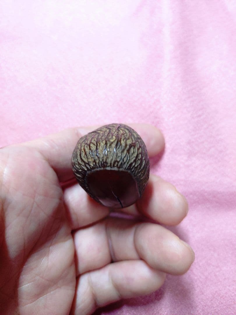 乾漆 根付 彫刻 アンティーク 工芸品 置物