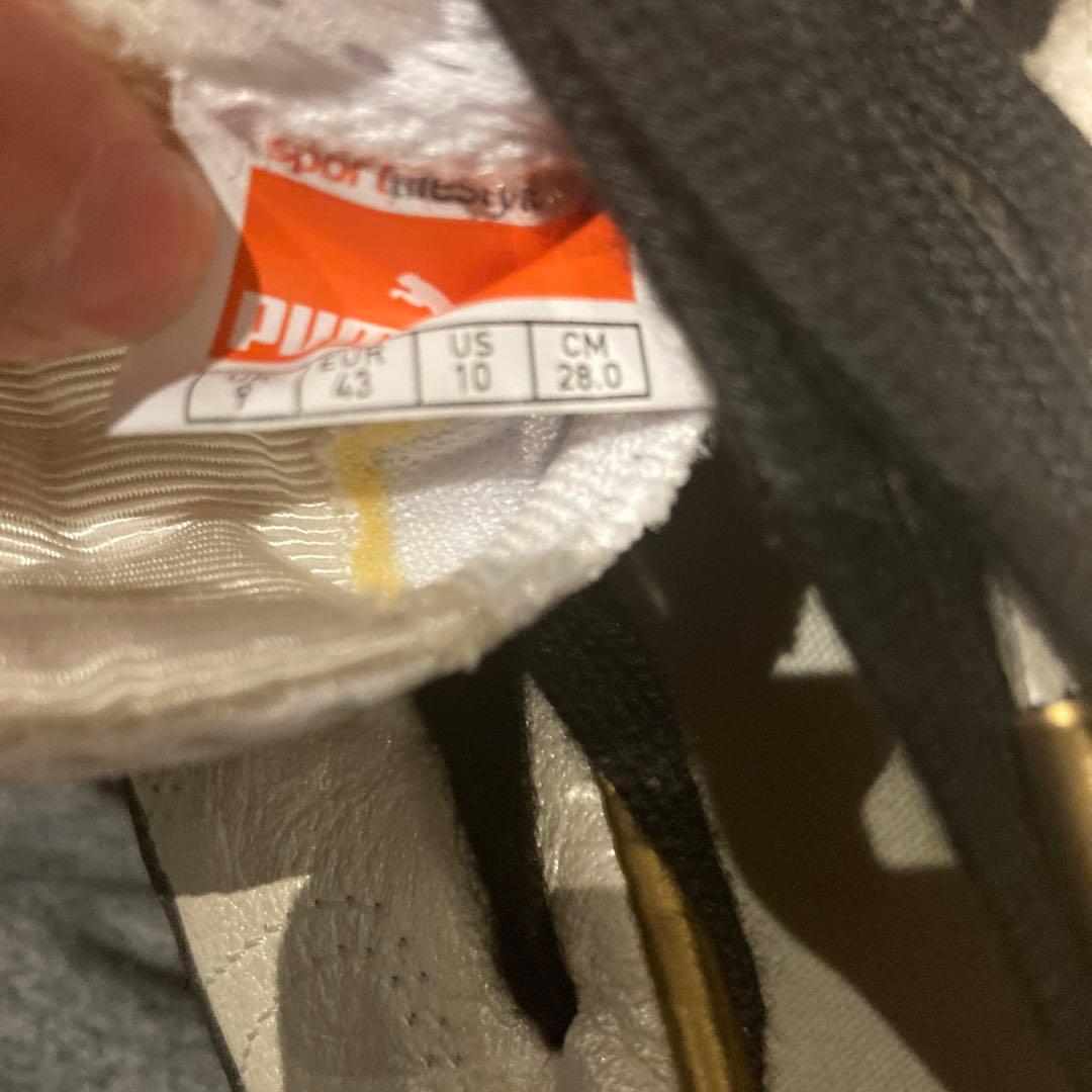 PUMAパラメヒコライト 取り替え式 28cm