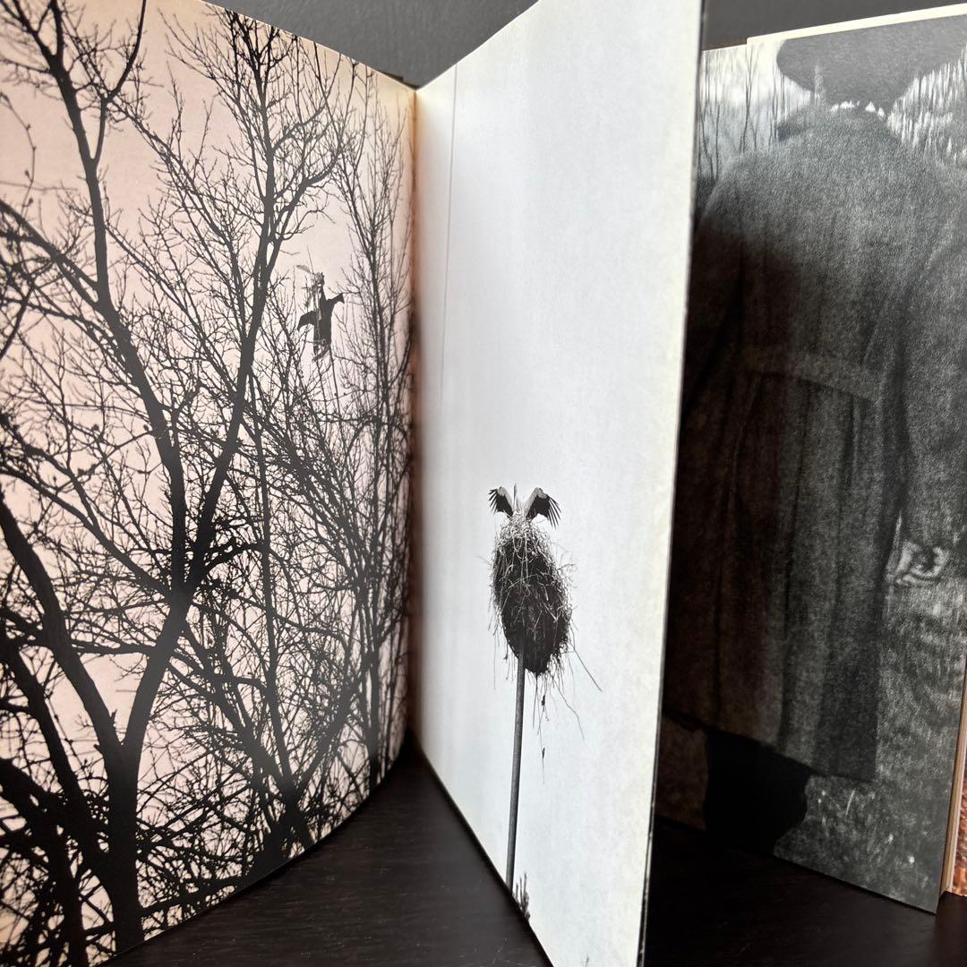 Juergen Teller(ユルゲン・テラー)写真集/作品集