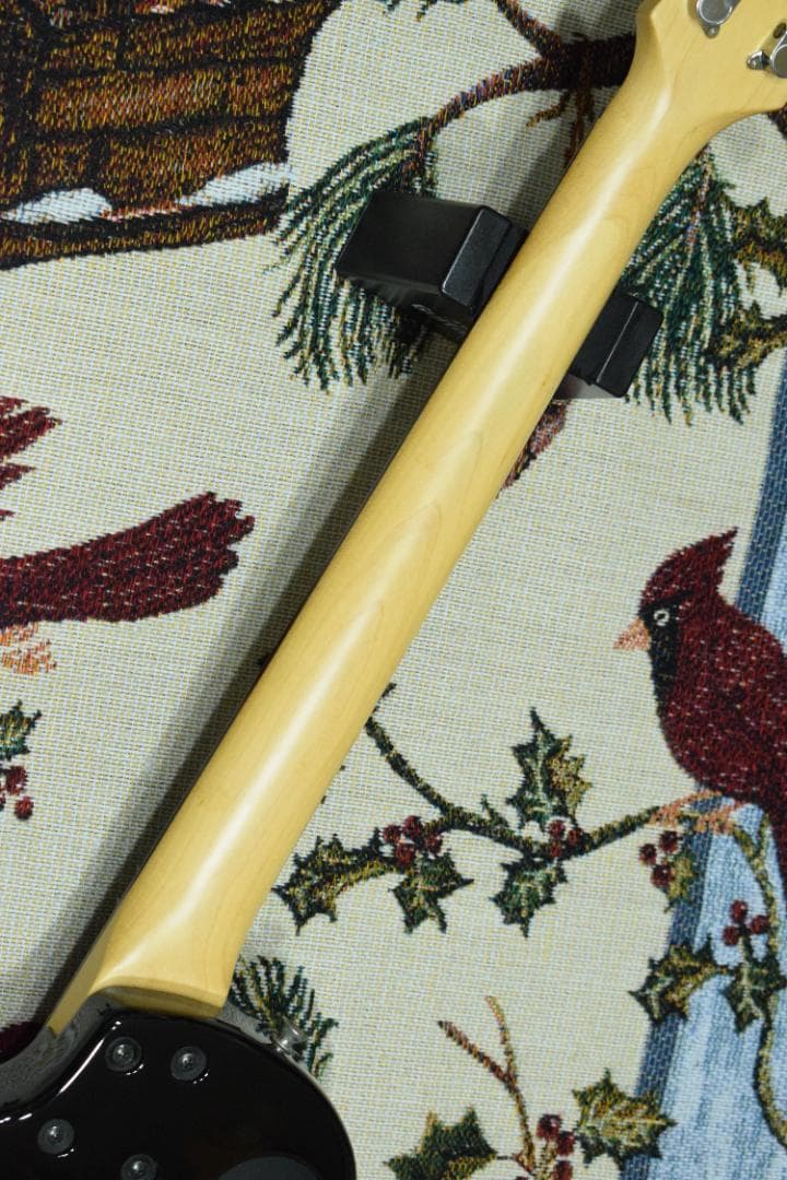 Burny Fernandes LG-480 SLG-50 ソフトケース付