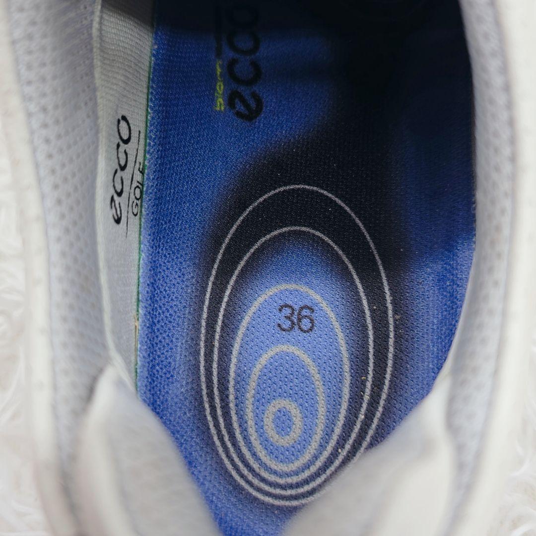 ecco エコー 本革 ゴルフシューズ 23cm GORE-TEX 防水 透湿