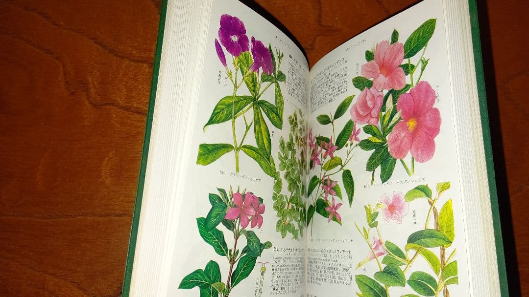 コンパクト版『原色園芸植物図鑑』Ⅰ～Ⅳ (全巻) 北隆館