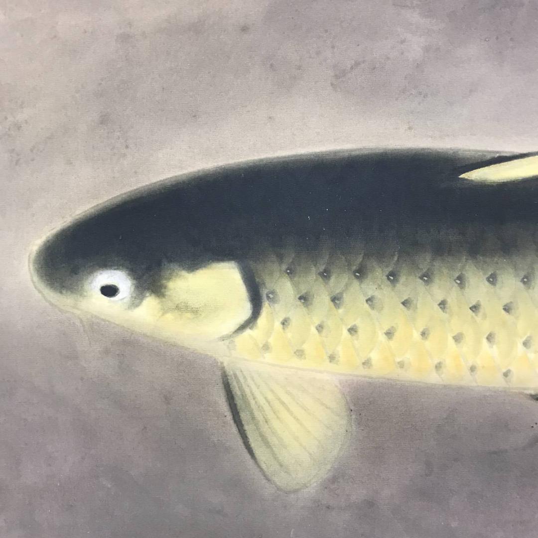 真作/島津華山/鯉図/遊鯉図/游鯉図/コイ図/横物/掛軸/名家伝来/AE-176