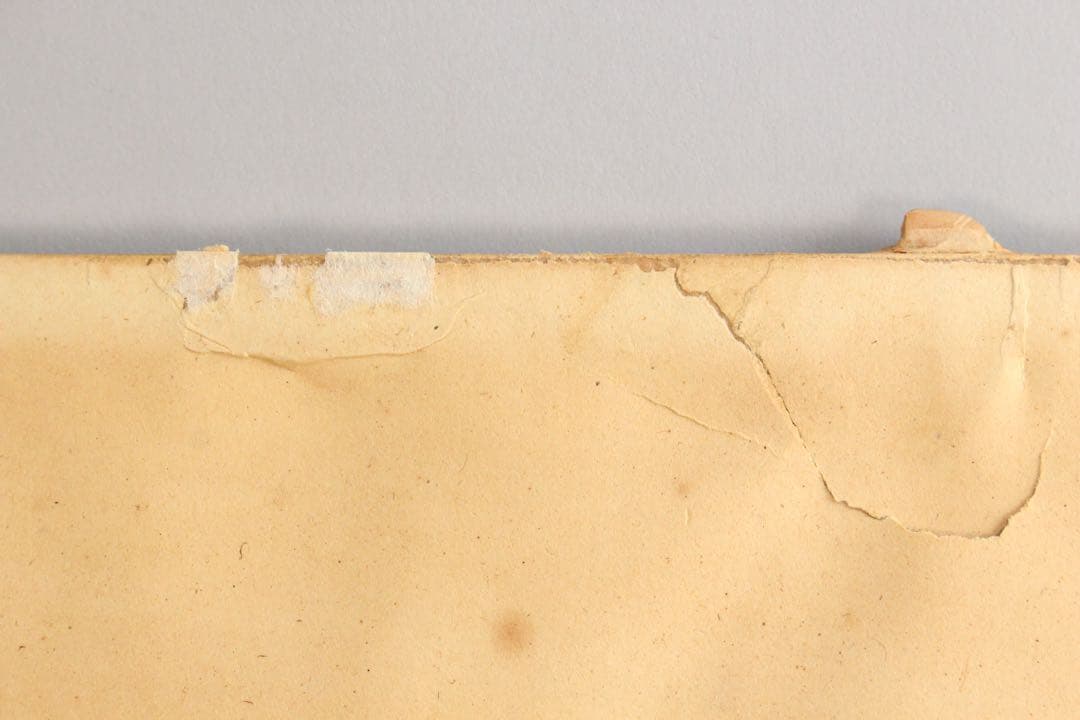 No5541 額装　井澤正子「曽木瀑声」　日本画　F10号　箱/黄袋付　送料無料