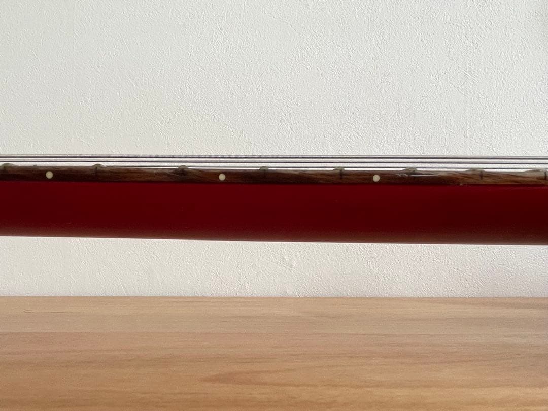 PRS(Paul Reed Smith) ポールリードスミス SE エレキギター