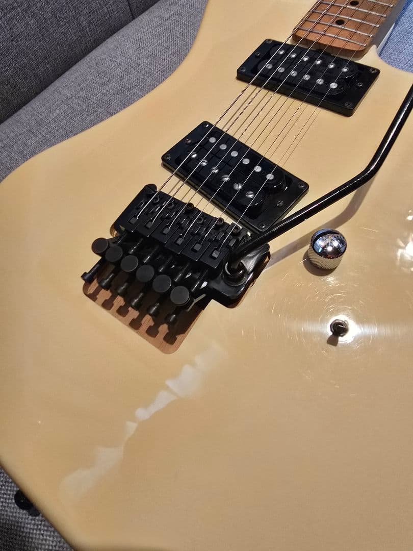 ESP カスタムオーダー エレキギター