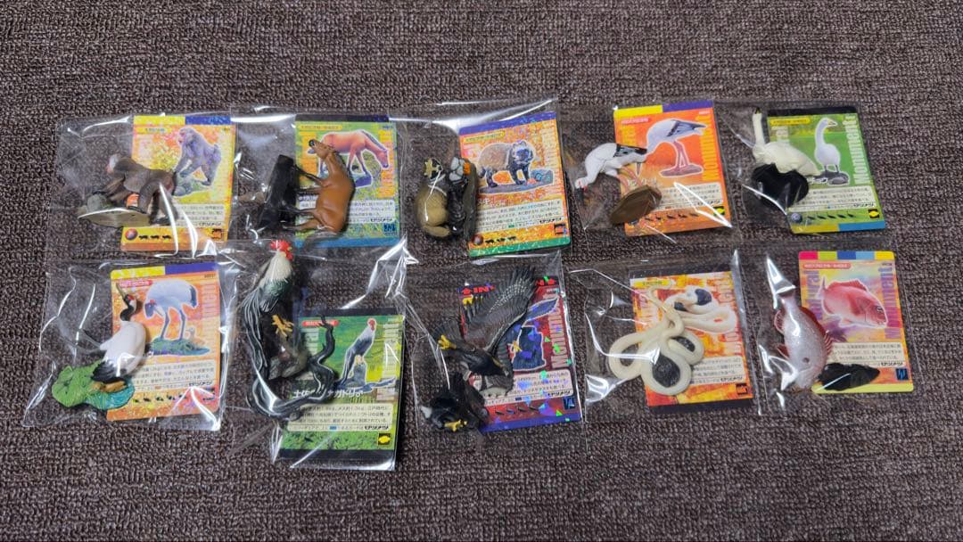 週刊 日本の天然記念物 動物編 全50巻+フィギュア+公式トレカ