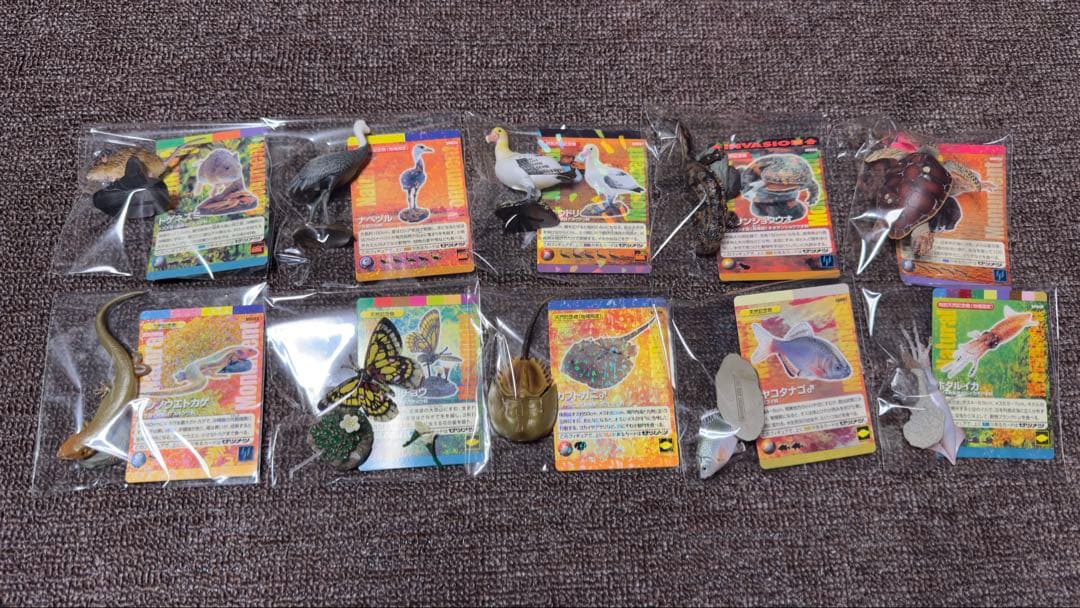 週刊 日本の天然記念物 動物編 全50巻+フィギュア+公式トレカ