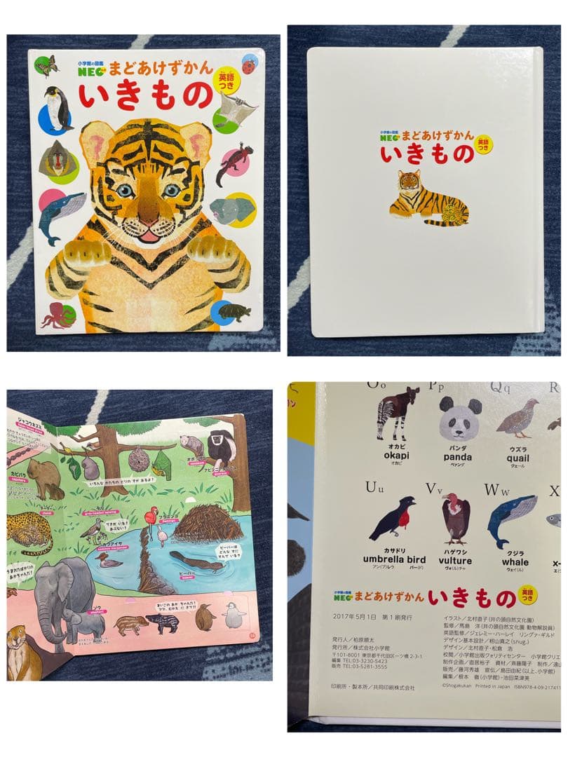 はっけんずかん/まどあけずかん　他　図鑑11冊セット