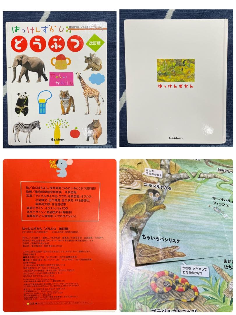 はっけんずかん/まどあけずかん　他　図鑑11冊セット