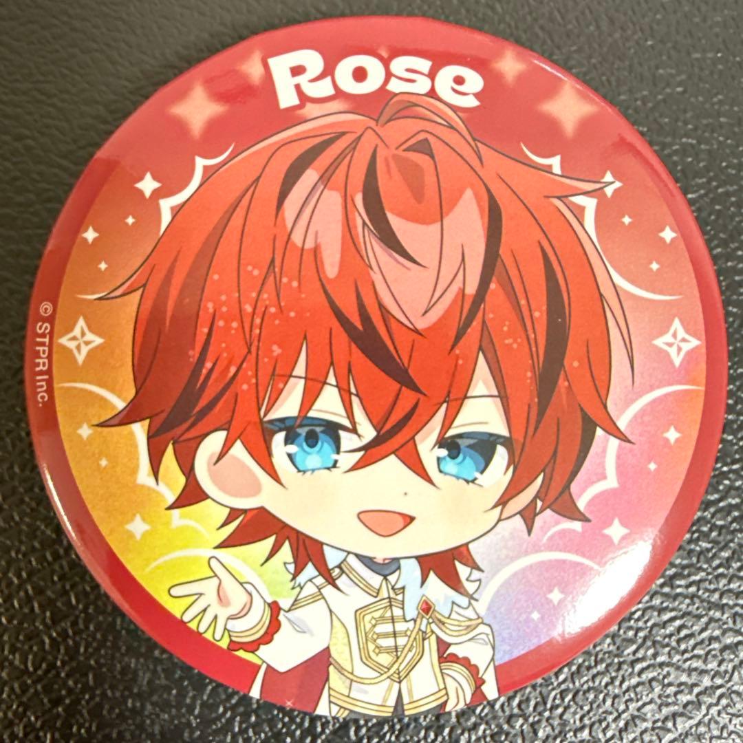 ロゼ Rose すとふぇす 2026 SD めておら 缶バッジ 29点