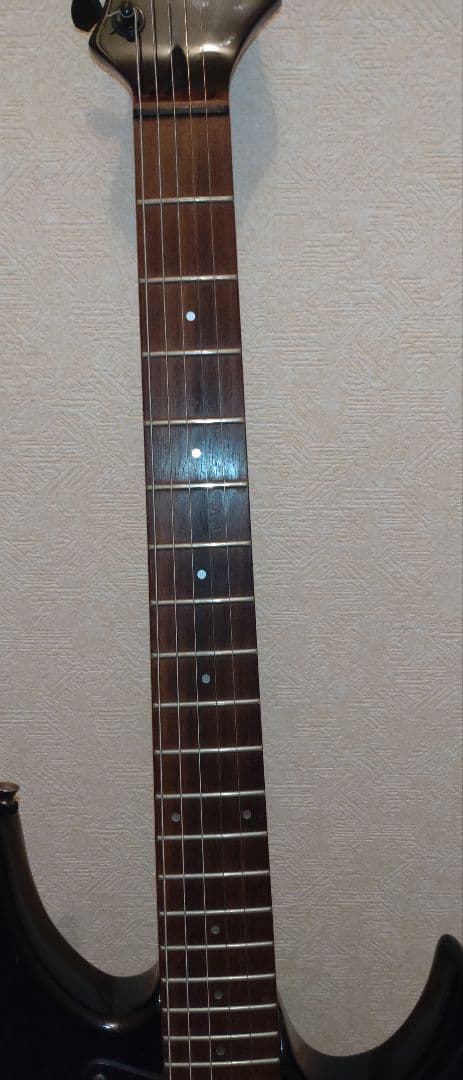 Aria Pro II アリアプロ2　Black Dog