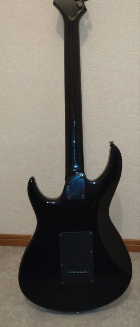 Aria Pro II アリアプロ2　Black Dog