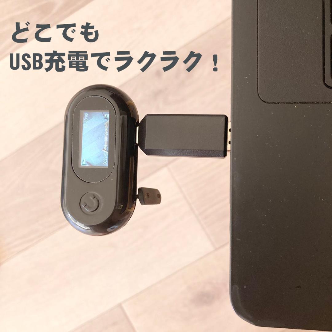 ミニDVペットカメラ 首輪OK 1080P 軽量23g 旅行・散歩にも