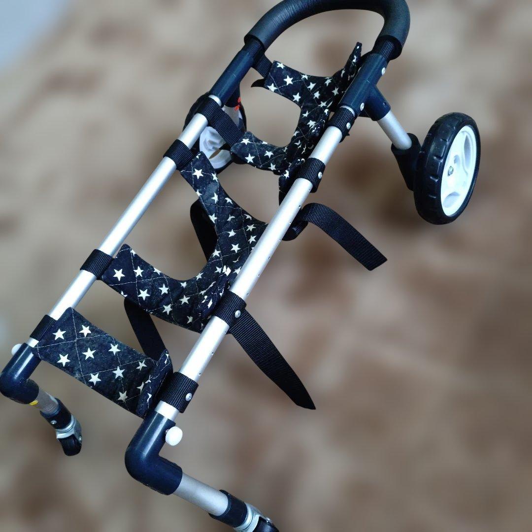 カニンヘンダックス 輪車椅子