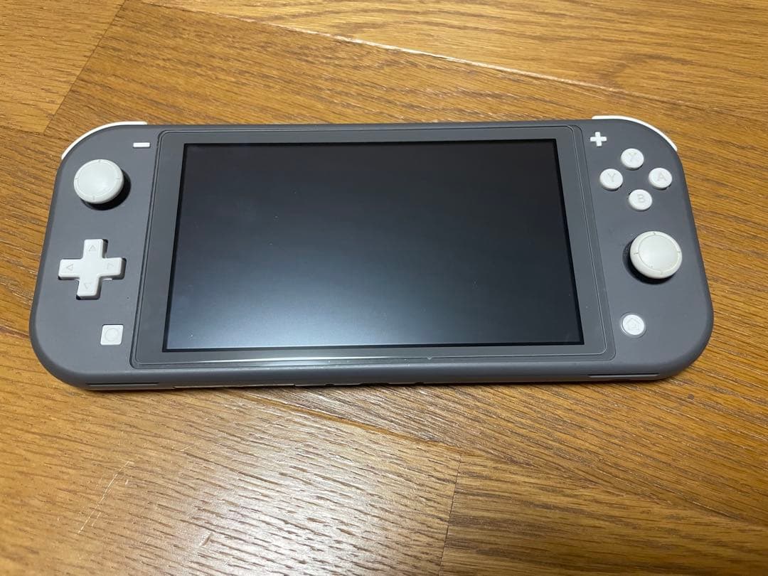 Nintendo Switch Lite 動作確認済みACアダプター付