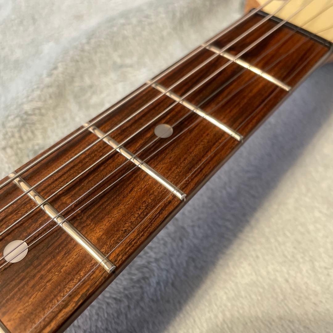 DIGI-ZO Fernandes コンデンサ交換済み