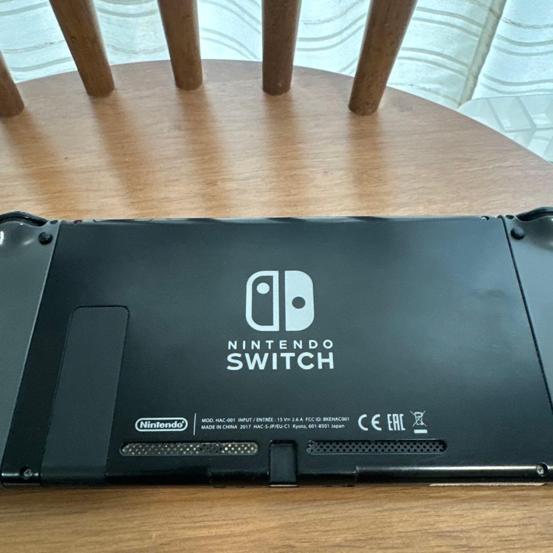 Nintendo Switch Switch lite ケース付き