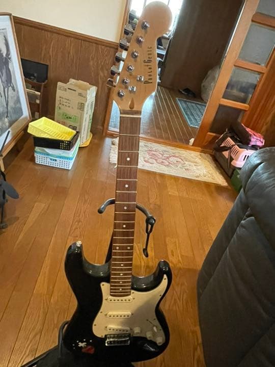 【送料無料】エレキギター　フォトジェニック