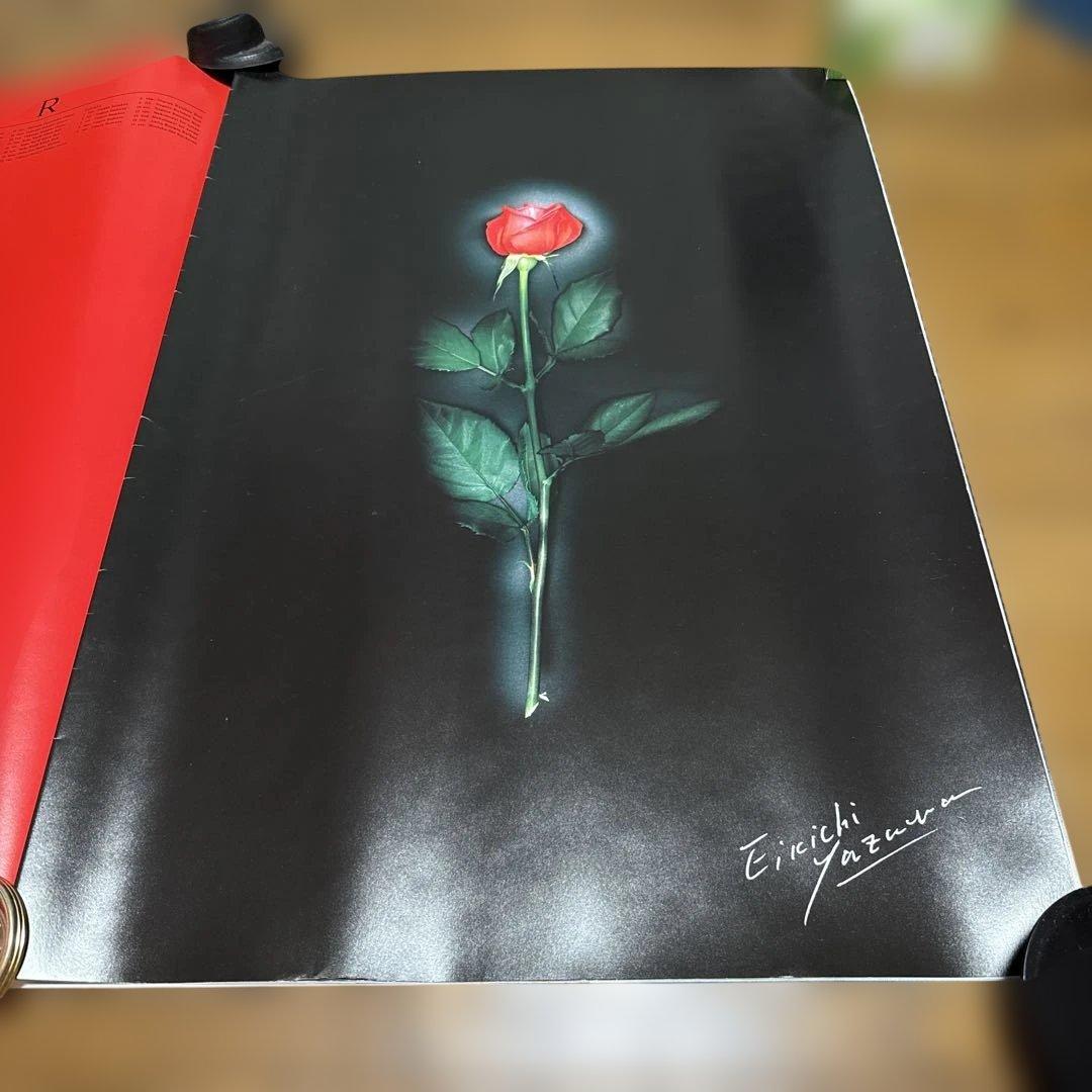 矢沢永吉 1993年コンサートツアー大判プログラム