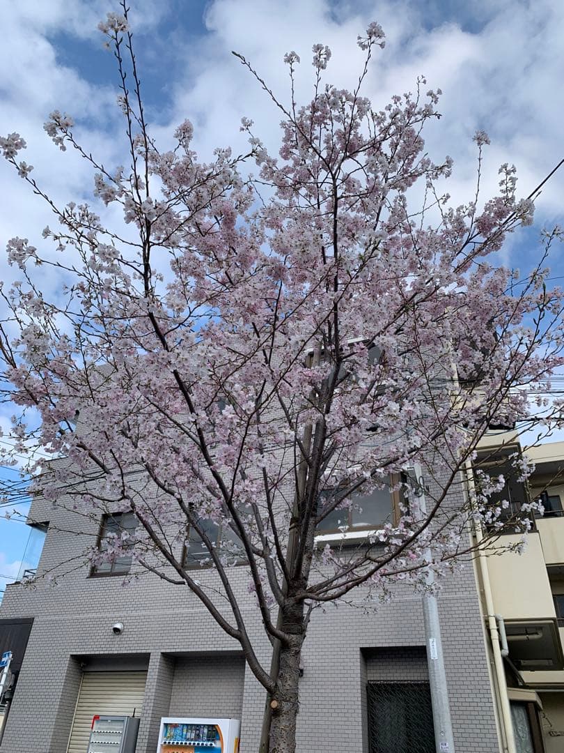 他色々② 声が聴けるチェキくじ 笠間淳、小林裕介『amavo vol.5』