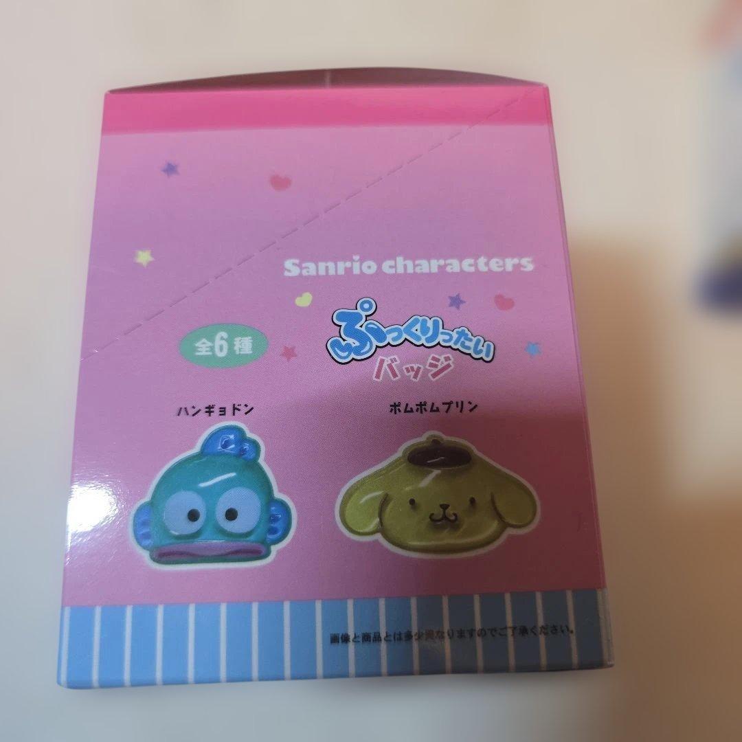 サンリオ　ぷっくりったい　バッジ