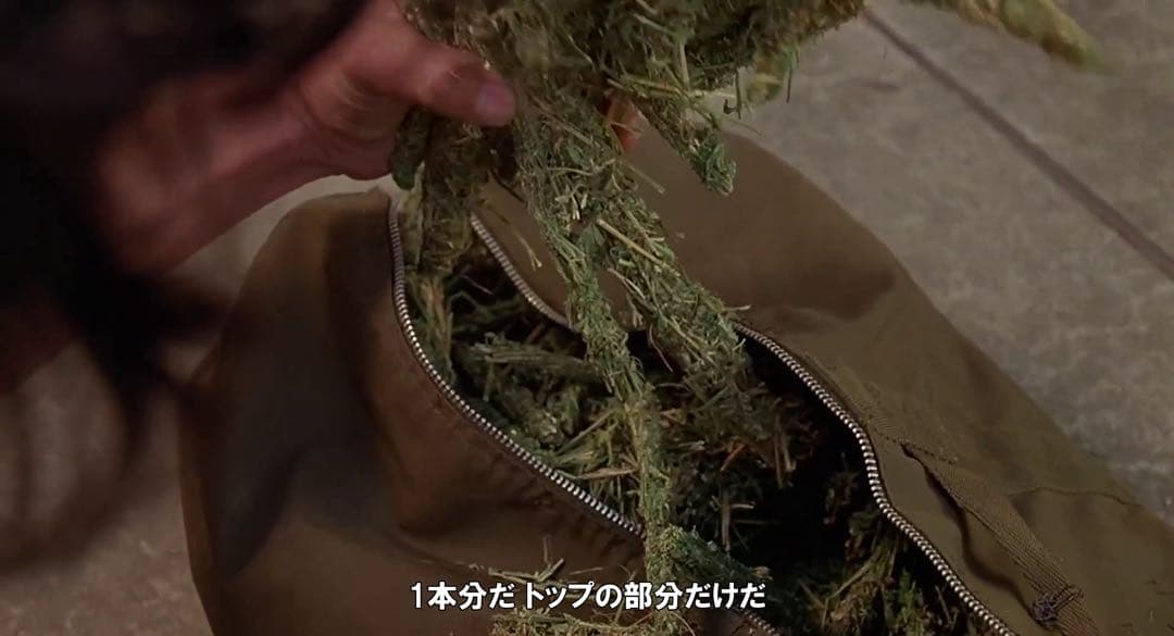 Cheech and Chong Next Movie チーチ&チョン 大麻