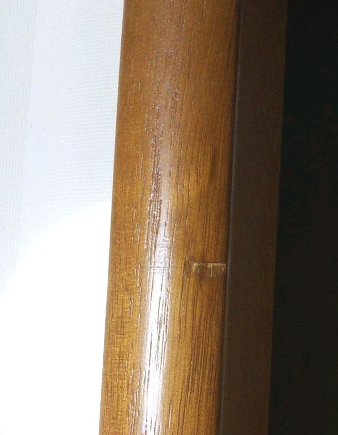 菅原 拓洋 白富士山 金箔押 絵画