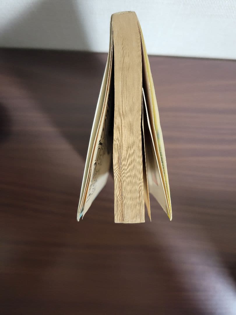 【初版】ドラゴンボール 第1巻　初版　 おまけあり　鳥山明