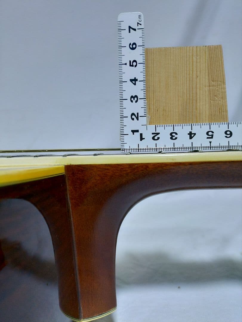 MORRIS 　SPECIAL 　TF - 50 　　ハードケース付属