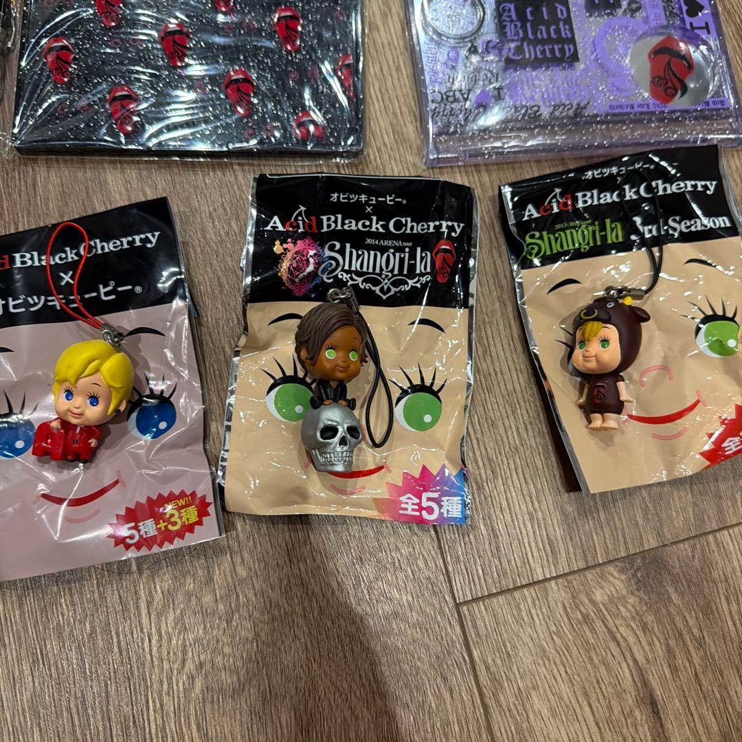 Acid Black Cherry グッズ 24点セット