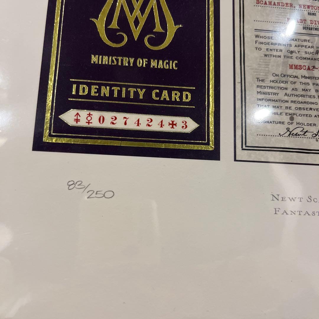 【世界限定250枚】ミナリマ 魔法省 IDカード 限定版 83/250