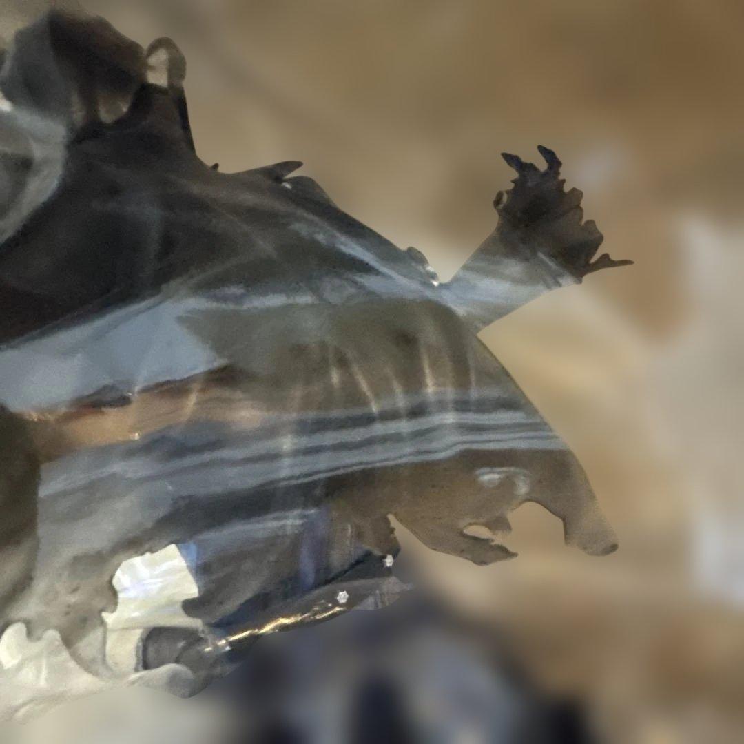 Lucrea ペルソナ５ザ・ロイヤル クロウ ロキver　明智吾郎