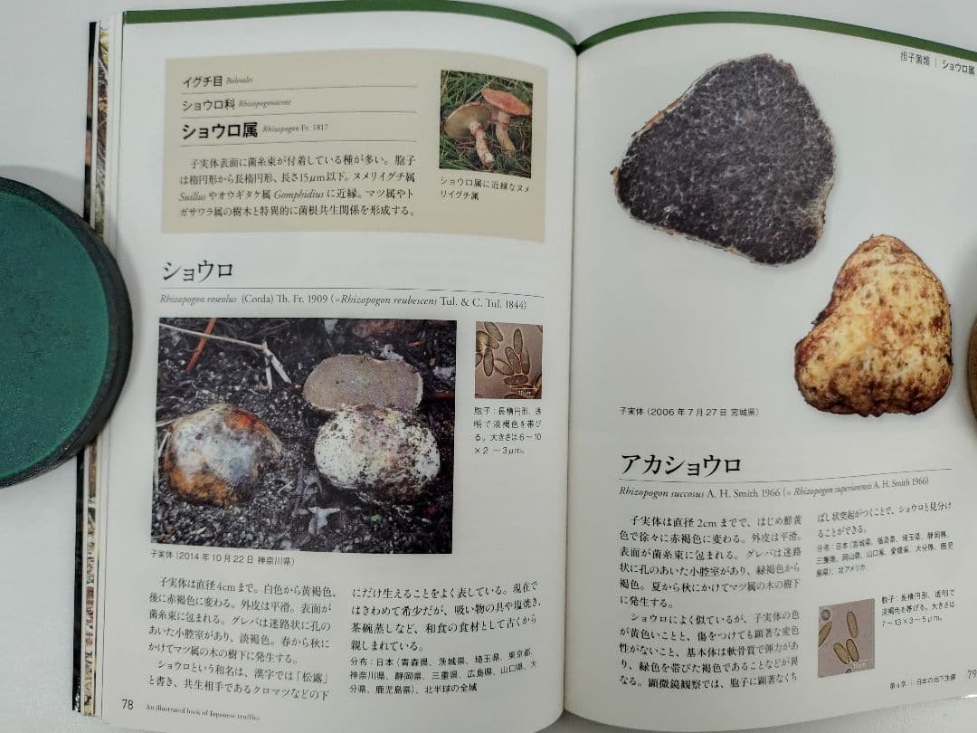 『日本のトリュフ。地下で進化したキノコの仲間たち 地下生菌 識別図鑑』
