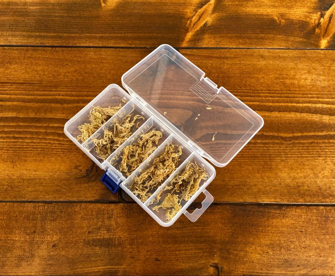 クワガタ採集セット　camo柄　オリジナル掻き出し棒　デジタルノギス　採集ケース